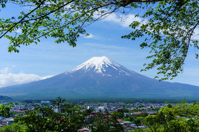 Scenic view of tree mountains against sky