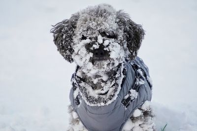 winter