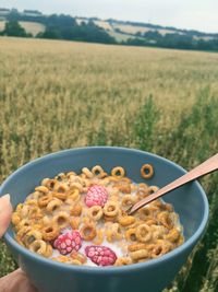 Close-up of breakfast in bowl