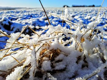 Close-up of snow covered landscape