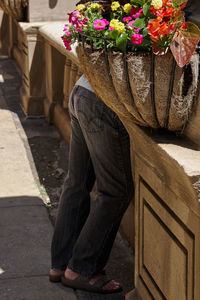 Low section of man standing on flower