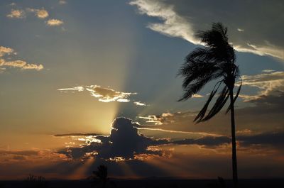 Low angle view of silhouette trees against sky during sunset