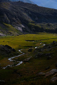 Scenic view of stream on land