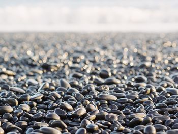 Stones on beach