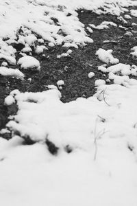 High angle view of snow covered field