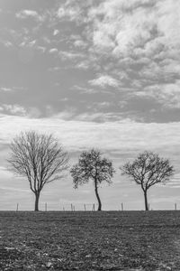 Bare trees on field against sky