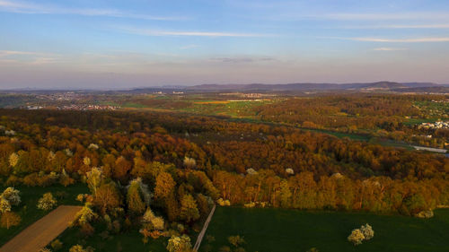 High angle view of trees on field against sky