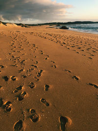 Footprints on sand at beach against sky