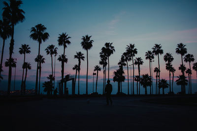 Silhouette man standing against palm trees at beach during sunset
