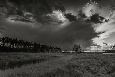 Scenic view of field against sky