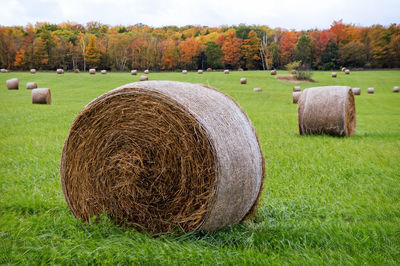 Hay bales on field against sky