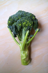 High angle view of vegetables on table