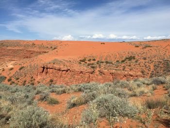 Scenic view of landscape