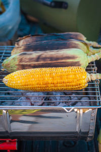 Close-up of corn 