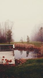 Reflection of bare trees in lake