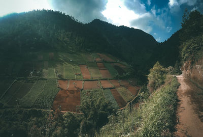 Scenic view of field against sky