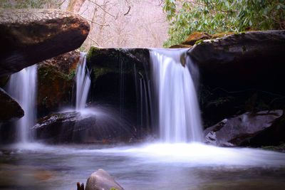 Scenic view of waterfall in forest