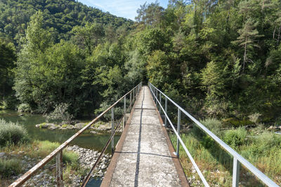 Railroad tracks amidst trees in forest