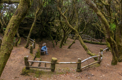 Rear view of man walking on staircase in forest