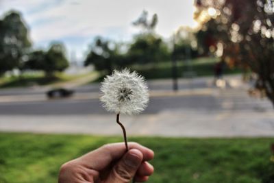 Close-up of hand holding dandelion against sky