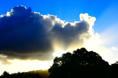 Low angle view of silhouette trees against sky