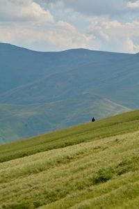 Scenic view of grassy field against sky