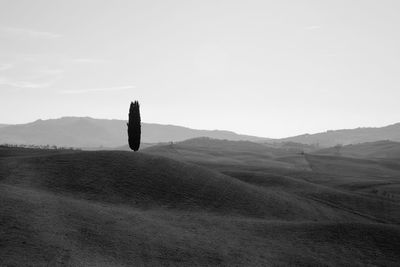 Scenic view of field against clear sky