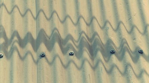 Full frame shot of cat