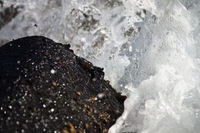 Rocks in sea