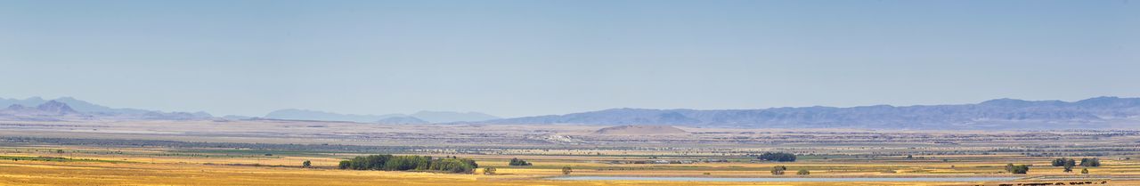 Scenic view of agricultural field against clear sky