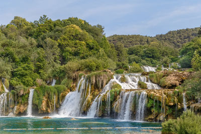 Scenic view of waterfall against trees in forest