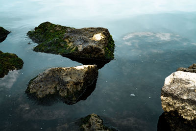 High angle view of rock by lake