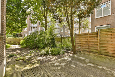 Footpath amidst trees