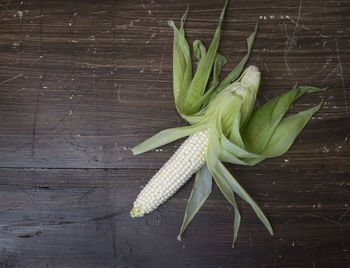 High angle view of corn cob