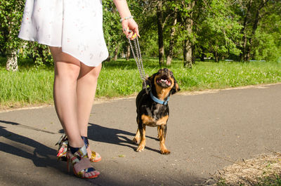 Low section of man with dog on road