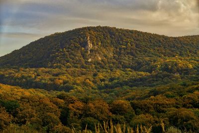 Scenic view of mountain against sky