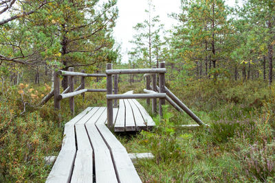 Wooden bench on field in forest