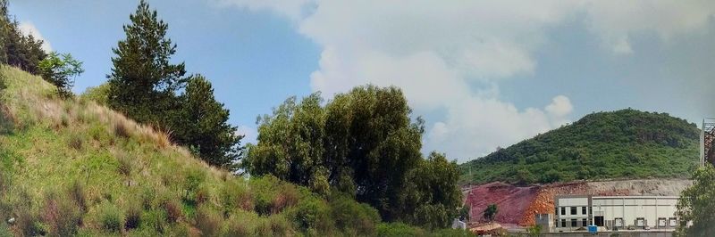 Trees against cloudy sky