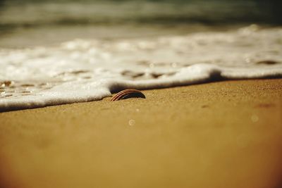 Surface level of sand on beach