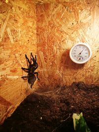 High angle view of clock on wall