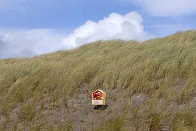 hill