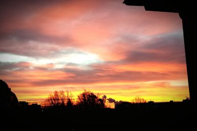 Silhouette of trees at sunset