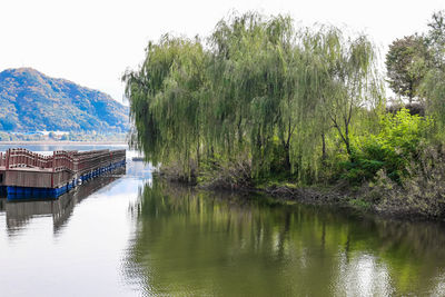 Scenic view of lake by trees against sky