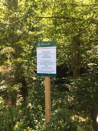 Information sign by trees in forest