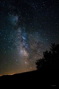 Low angle view of silhouette trees against sky at night