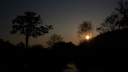 Silhouette trees against sky at night