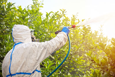 Rear view of man working on plants