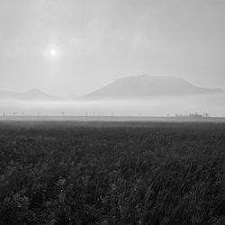 horizon