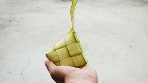 Hand holding leaf wrapped bundle
