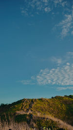 Scenic view of landscape against blue sky